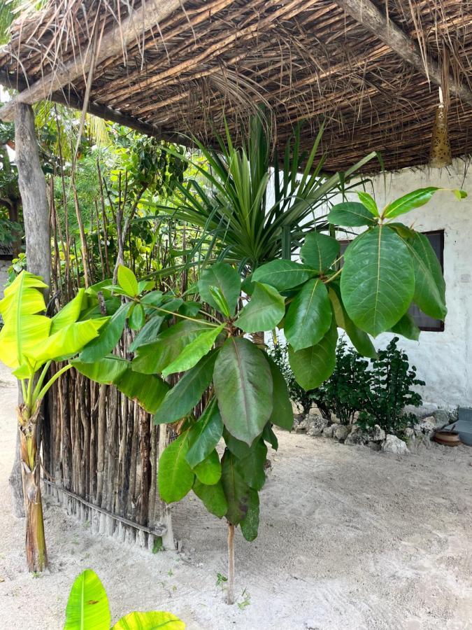 Karanga Bungalows Michamvi Quarto foto